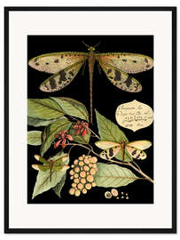 Gerahmter Kunstdruck Wunderliche Libelle