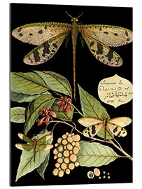 Galleritryck Whimsical dragonfly