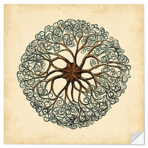 Wandsticker Juwelen des Meeres II