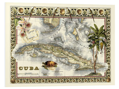 Foam board print Tropical Map of Cuba