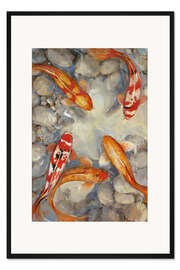 Gerahmter Kunstdruck Koifische im Teich II
