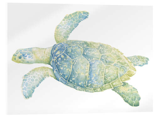 Akryylilasitaulu Tranquil sea turtle