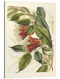 Magnettafel Fantastische Botanik II