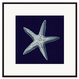 Framed art print Indigo shell IV