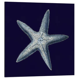 Magnettafel Indigo Muschel IV