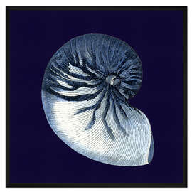 Gerahmter Kunstdruck Indigo Muschel VII