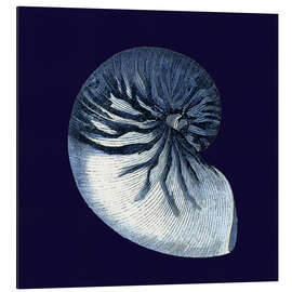 Magnettafel Indigo Muschel VII