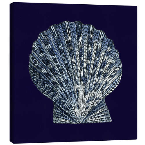 Canvas print Indigo shell VIII