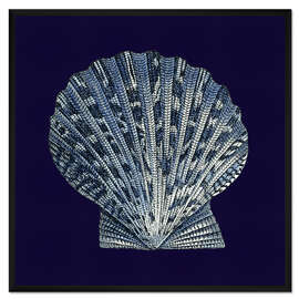 Gerahmter Kunstdruck Indigo Muschel VIII