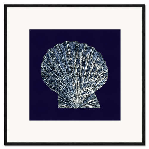Stampa artistica con cornice Conchiglia indaco VIII