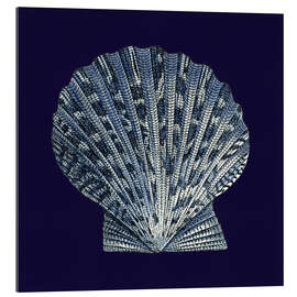 Gallery print Indigo shell VIII