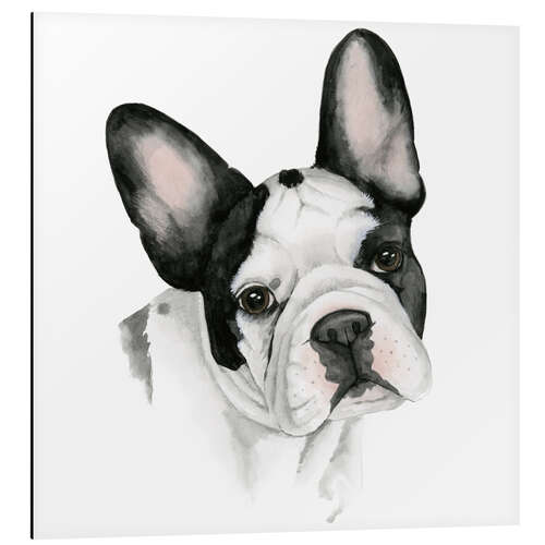 Aluminiumtavla French bulldog