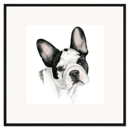 Ingelijste kunstdruk French bulldog