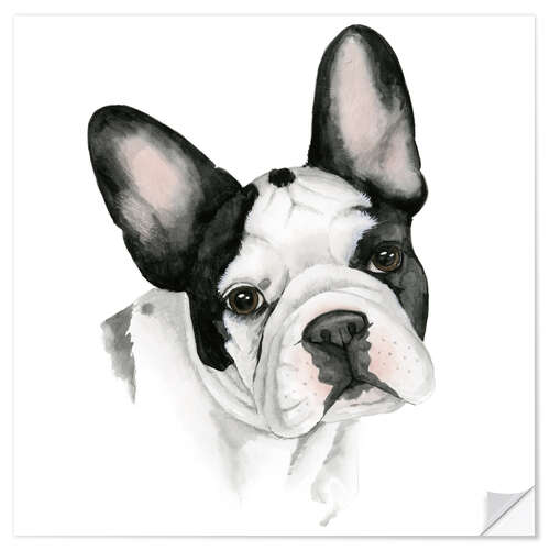 Wall sticker French bulldog