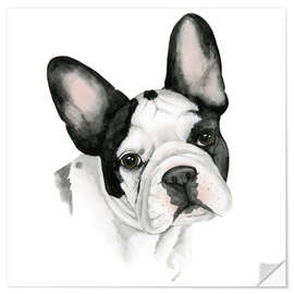 Adesivo murale Bulldog francese