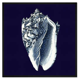 Gerahmter Kunstdruck Indigo Muschel II