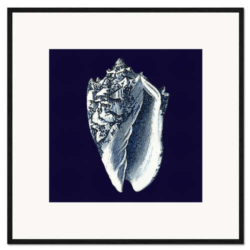 Plakat artystyczny premium w ramie Indigo shell II