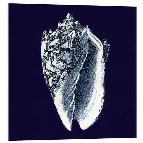 Galleritryck Indigo shell II