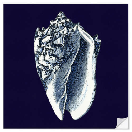 Sisustustarra Indigo shell II