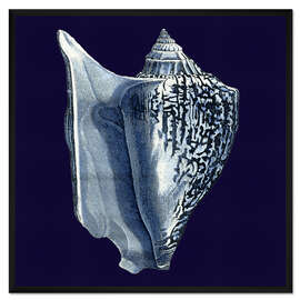 Gerahmter Kunstdruck Indigo Muschel I