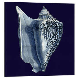 Gallery print Indigo shell I