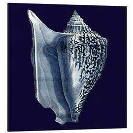 Magnettafel Indigo Muschel I