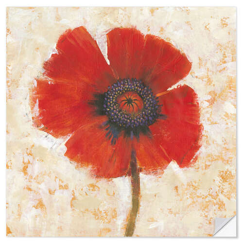 Naklejka na ścianę Red poppy flower