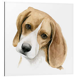 Aluminium print Beagle