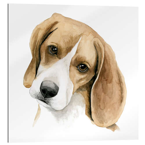 Gallery print Beagle