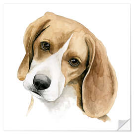 Wall sticker Beagle