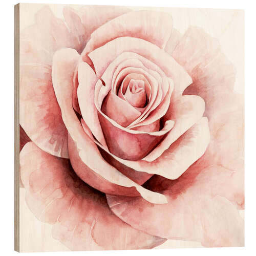 Wood print Delicate Rose I