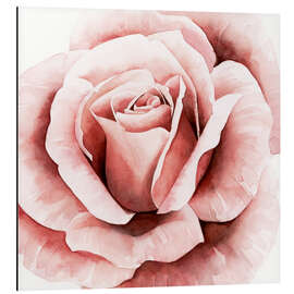 Magnettafel Zarte Rose II