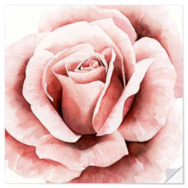 Wall sticker Delicate Rose II