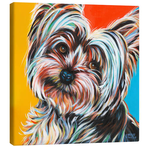 Canvas print Sweet Yorkie II