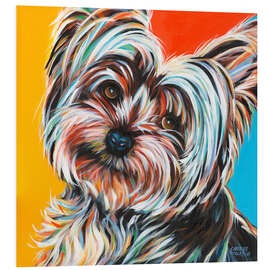 Foam board print Sweet Yorkie II