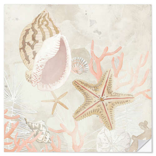 Wall sticker Shell Collector Fresco II