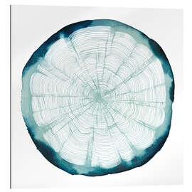 Gallery print Tree ring II