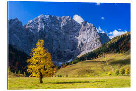 Gallery Print Herbst im großen Ahornboden