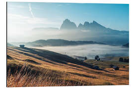 Aluminium print Pastures in front of the Sassolungo