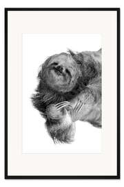 Gerahmter Kunstdruck Dreifingerfaultier