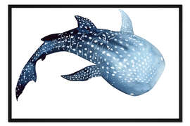Gerahmter Kunstdruck Walhai