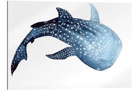 Gallery print Whale Shark