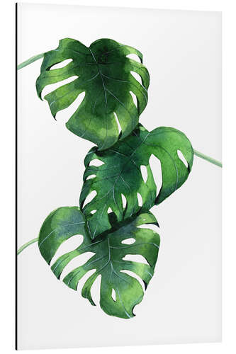 Aluminiumsbilde Monstera leaves