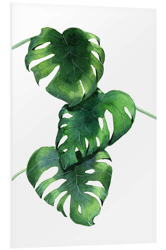 PVC-tavla Monstera leaves