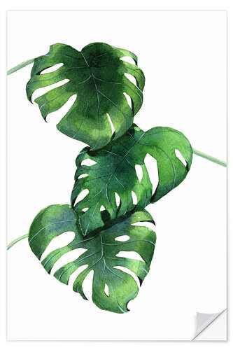 Sisustustarra Monstera leaves