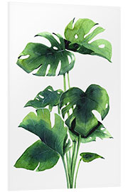 Tableau en PVC Plante monstera