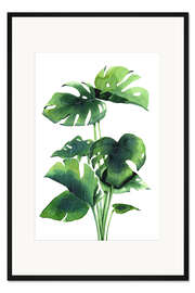 Gerahmter Kunstdruck Monsterapflanze