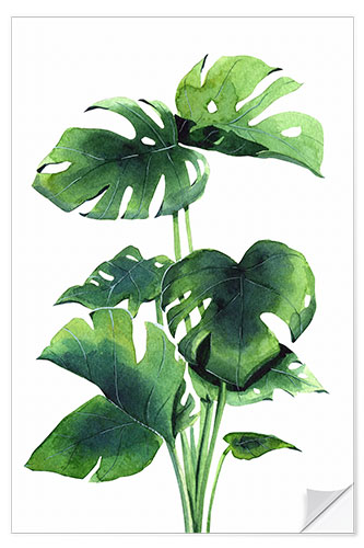 Wall sticker Monstera plant