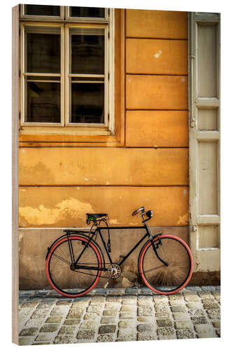 Trebilde Velo in Vienna