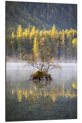 Aluminiumsbilde Morning mood at the Hintersee